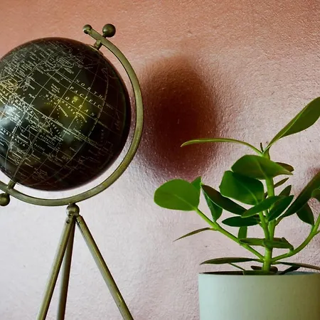 ホテル Roemerhof トゥルン